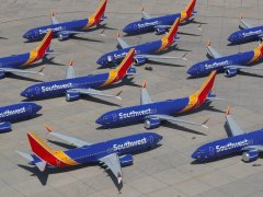 民航早報：737MAX停飛致西南航空停止紐瓦克航線-空運(yùn)寵物