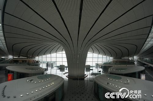 大興機(jī)場(chǎng)啟航倒計(jì)時(shí)！“金鳳凌空”之姿先睹為快-海運(yùn)拼箱價(jià)格