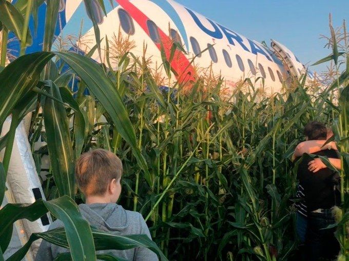 烏拉爾航空機長:雙發(fā)失效 盡可能降落在更軟的地方