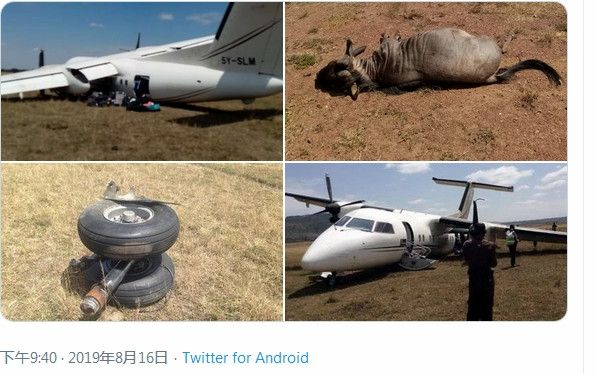 肯尼亞一架飛機降落時與角馬相撞，機上乘客均未受傷-海運費在線查詢