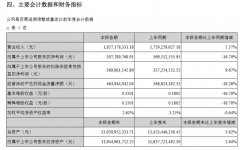 深圳機(jī)場上半年利潤凈利潤3.08億元，同比減少16.7%-阿聯(lián)酋的國際快遞