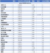 CADAS：2019上半年全球50大機(jī)場(chǎng)吞吐量排名-土耳其的國(guó)際快遞