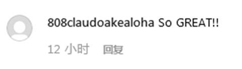 一匹小馬“坐”飛機(jī) 網(wǎng)友調(diào)侃：給它上杯咖啡吧！-香港國際快遞