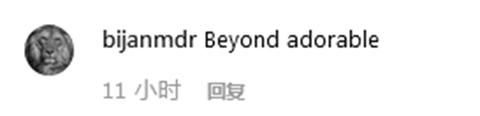 一匹小馬“坐”飛機(jī) 網(wǎng)友調(diào)侃：給它上杯咖啡吧！-香港國際快遞