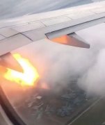 加拿大一飛機(jī)發(fā)動機(jī)遭遇鳥擊起火 安全返航-國際快遞價(jià)格