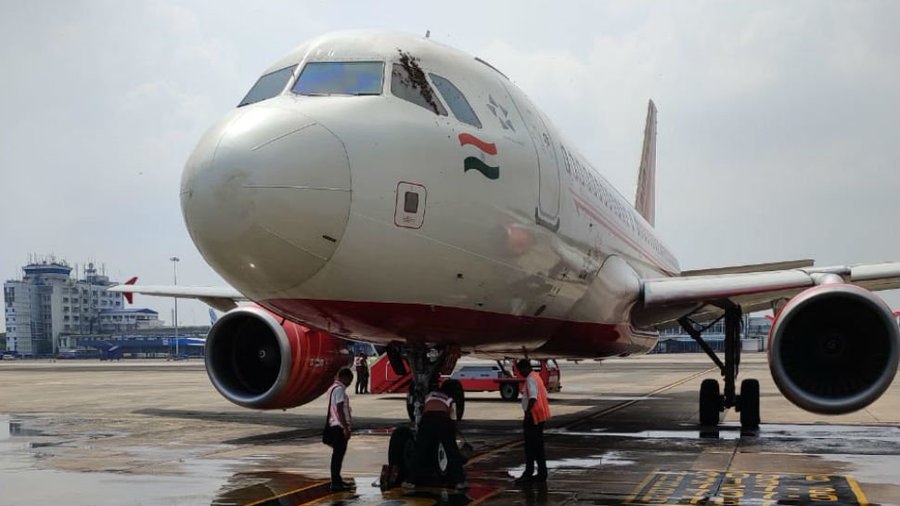 印度航空飛機上發(fā)現(xiàn)蜜蜂 航班被迫再次延誤