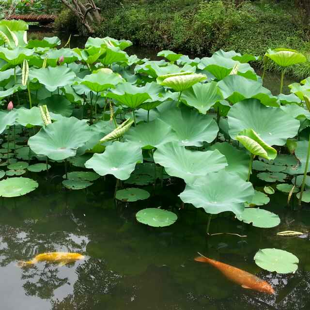 航企營(yíng)銷服務(wù)戰(zhàn)略、九維空間模型規(guī)劃及其信息化建設(shè)導(dǎo)向研究-深圳出口空運(yùn)