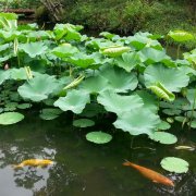 航企營銷服務戰(zhàn)略、九維空間模型規(guī)劃及其信息化建設導向研究-深圳出口空運