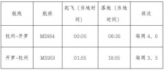 杭州直飛開羅航線11月開通 航線網絡實現覆蓋五大洲-海運費
