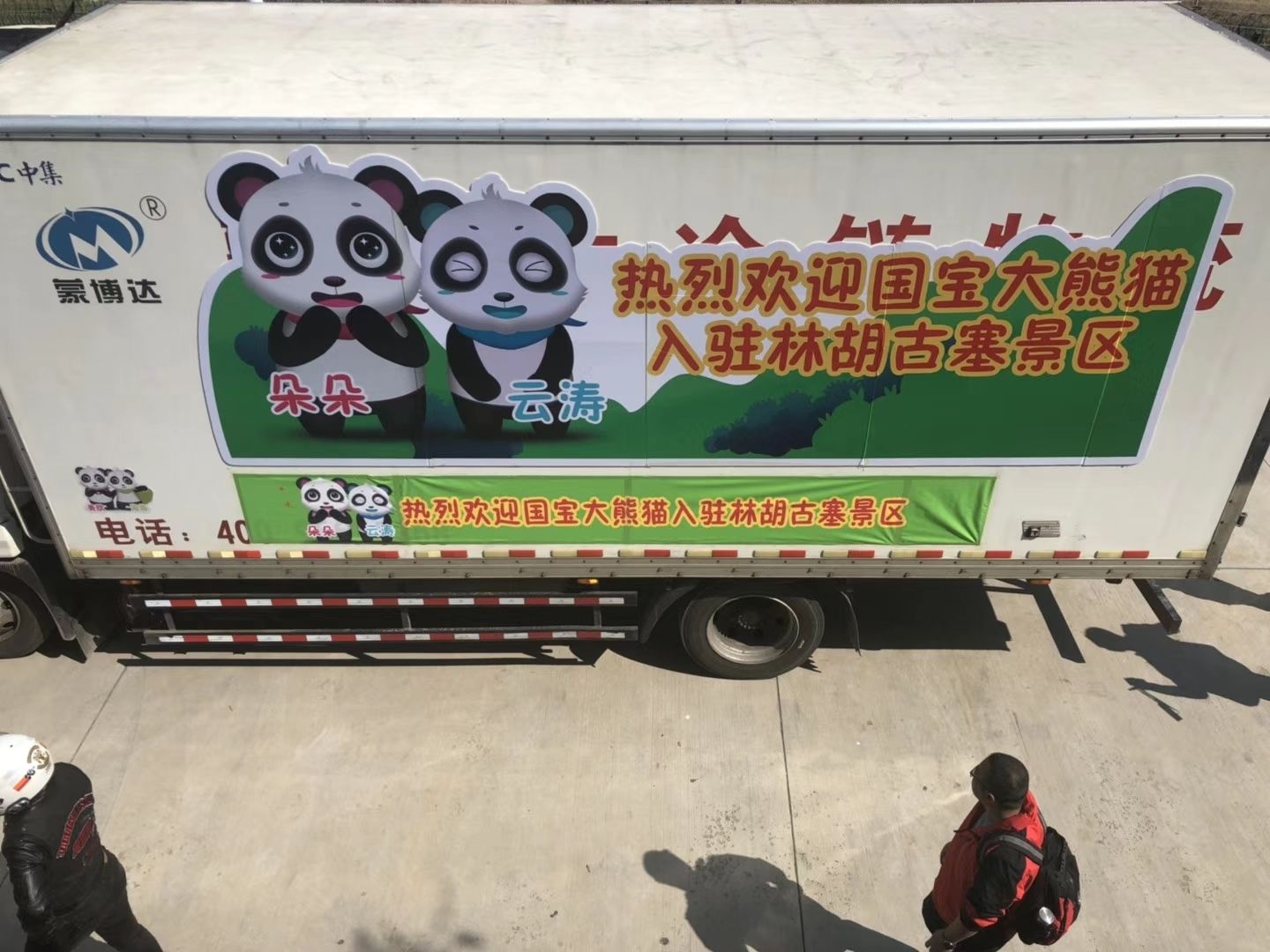內(nèi)蒙古民航地服公司貨運(yùn)部?jī)A情保障國寶大熊貓抵呼