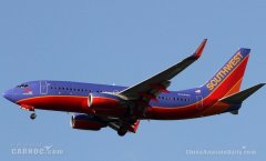 因結(jié)構(gòu)裂縫 西南航空、戈爾航空停飛13架737NG-海運拼箱價格