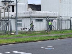上?？者\公司現(xiàn)場|奧克蘭機場收到炸彈威脅 機場短暫停運后恢復(fù)