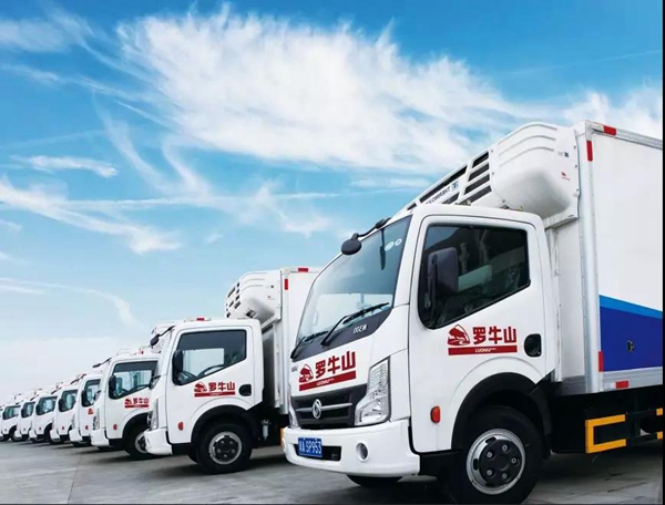 椰海大道延長(zhǎng)線(xiàn)全面通車(chē)助力羅牛山冷鏈物流更快更“鮮”