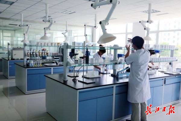 青島西海岸的這幾張名片，能為武漢發(fā)展帶來哪些啟示？