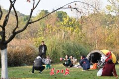 海運價格-未來三天武漢單曲循環(huán)“小晴歌”，出游正當時