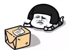 深圳出口國際快遞-“雙11”快遞為啥這么快！原因在這里……