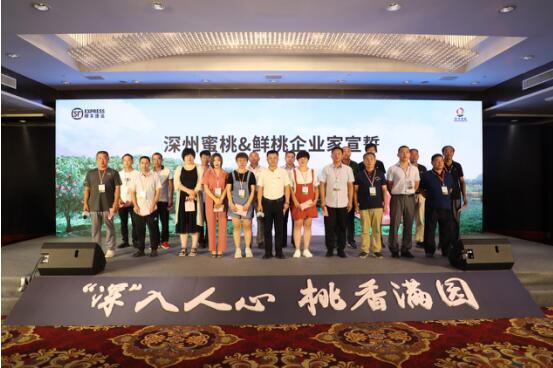 海運價格-順豐全面升級“深州蜜桃&鮮桃寄遞”服務，為您傳遞“桃”不掉的新鮮