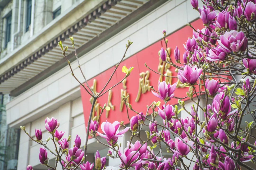 30個(gè)管理服務(wù)崗虛位以待,等你來(lái)!