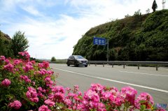 <b>歐洲航運(yùn)代理-海陽公路“黨建+”模式唱響為民服務(wù)主旋律</b>