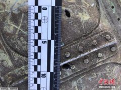 空運(yùn)價格表-烏航客機(jī)過半遇難者身份已確認(rèn) 五國代表促全面調(diào)查