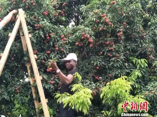 世界工廠、籃球城市……東莞，其實(shí)也沒(méi)什么