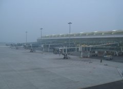 烏克蘭航空價(jià)格-美聯(lián)航等多家外航暫?；蚩s減中國(guó)航線 航空業(yè)“非典式”蕭條