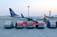 上?？者\(yùn)公司全球采購(gòu)！眾多企業(yè)打通海外渠道加大防疫物資供應(yīng)