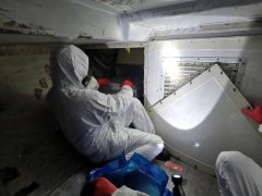 迪拜空運-廈航專家釋疑：疫情之下返工，坐飛機安全嗎？