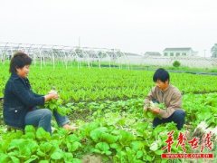 埃塞俄比亞-長沙國際會展中心選址黃興鎮(zhèn) 污染之鄉(xiāng)轉(zhuǎn)型/圖