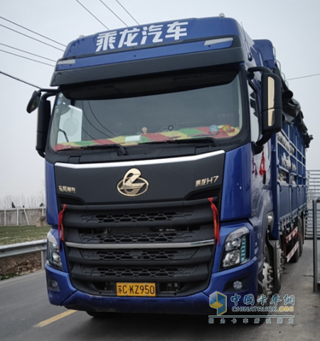 約旦的空運價格-就算需要隔離過不了節(jié)，那又有什么大不了呢？