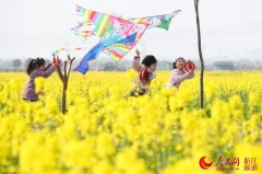 紐約國際空運(yùn)-物流網(wǎng)絡(luò)——科學(xué)調(diào)度不誤生產(chǎn)