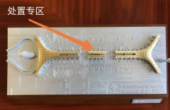 法國空運-從落地到隔離 國內(nèi)機場嚴(yán)守第一道關(guān)卡