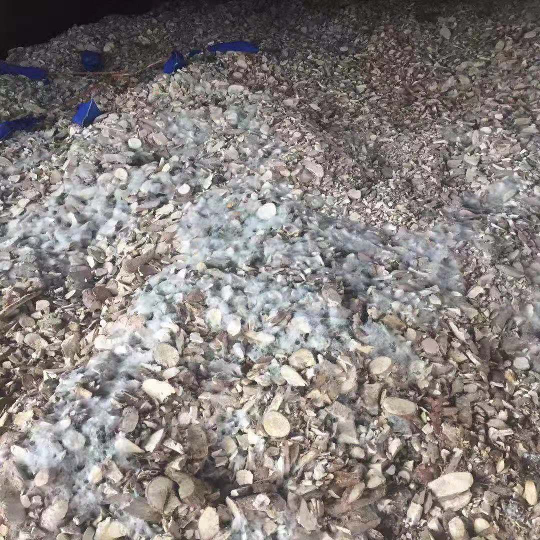 蘇黎世空運價格防損小貼士 - 海運木薯干貨物的霉變風(fēng)險及應(yīng)對措施