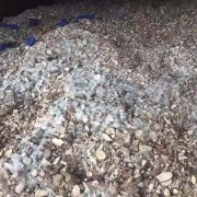 蘇黎世空運(yùn)價(jià)格防損小貼士 - 海運(yùn)木薯干貨物的霉變風(fēng)險(xiǎn)及應(yīng)對措施