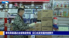 沙特的國際快遞-武漢漢口北發(fā)貨量持續(xù)攀升率先恢復通達全省物流專線