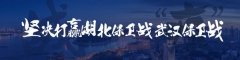 寧波海運漢口北率先恢復通達全省物流專線，首日發(fā)貨5000件