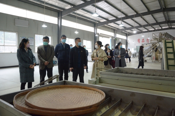 上海貨運(yùn)-讓春茶飛起來——三峽機(jī)場與五峰縣政府開啟扶貧助企戰(zhàn)略合作