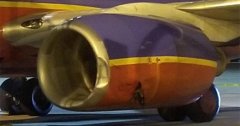 罕見事故！美國一架客機晚上降落 竟然在跑道上撞死一人