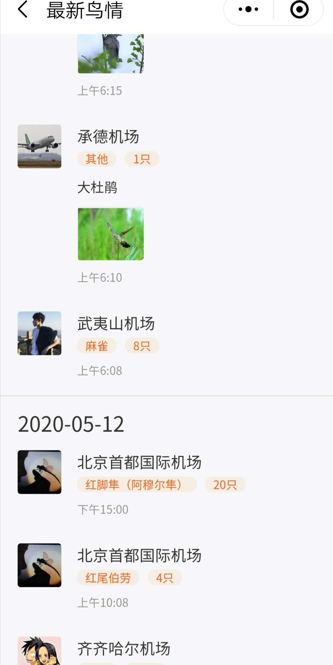 在“最新鳥情”欄目中，各地機場發(fā)布鳥情“朋友圈”?！傍B情共享平臺”小程序截圖
