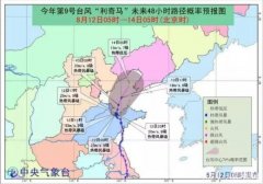 “利奇馬”已致651萬人受災(zāi)這些地方仍要嚴(yán)陣以待-上?？者\(yùn)