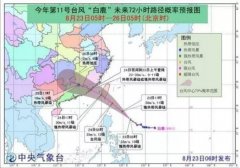 臺(tái)風(fēng)藍(lán)色預(yù)警:“白鹿”24日或正面登陸福建！-運(yùn)費(fèi)報(bào)價(jià)